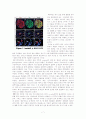 Conversion of adult pancreatic α-cells to β -cells after extreme β -cell loss 7페이지