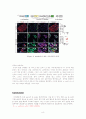 Conversion of adult pancreatic α-cells to β -cells after extreme β -cell loss 8페이지