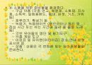 어린이집 소풍 기획안 10페이지