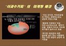 이과수커피 마케팅1 5페이지