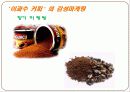 이과수커피 마케팅1 16페이지