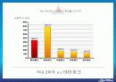 국내 1위 테마파크로 도약하기 위한 롯데월드 신시장개척 중·장기전략 보고서 3페이지