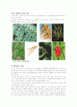 인삼 [人參 Ginseng]에 대한 정리 8페이지