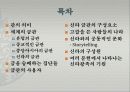신라의 금관과 Storytelling 3페이지