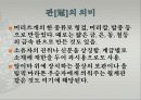 신라의 금관과 Storytelling 4페이지