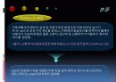 저상버스 운영실태 및 개선방안 PPT 8페이지
