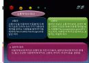 저상버스 운영실태 및 개선방안 PPT 11페이지