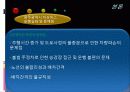 저상버스 운영실태 및 개선방안 PPT 28페이지