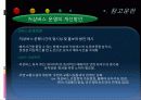 저상버스 운영실태 및 개선방안 PPT 30페이지