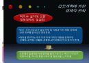 저상버스 운영실태 및 개선방안 PPT 40페이지