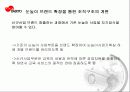 기업구조 : 대교에 대하여 11페이지