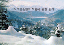여객운송인의 책임에 관한 판례....ppt 1페이지