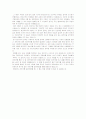 [중국영화계 6세대 감독] 왕 샤오슈아이 - 북경자전거 감상문 3페이지