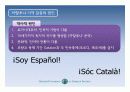 스페인 지역연구 (스페인의 지역갈등과 통합노력 : 바스크와 까딸루냐 지방을 중심으로) 28페이지