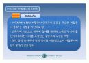 스페인 지역연구 (스페인의 지역갈등과 통합노력 : 바스크와 까딸루냐 지방을 중심으로) 45페이지