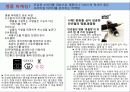 효과적인 다양한 마케팅 기법들과 적용 (프로모션 이벤트 기획 실무 - 다양한 마케팅 기법과 사례) 2페이지