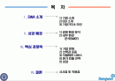 [사우스웨스트 항공] 성공 사례 분석_090725 2페이지