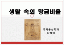 생활 속의 황금비율 1페이지