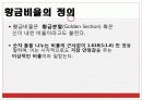 생활 속의 황금비율 3페이지