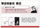 생활 속의 황금비율 4페이지