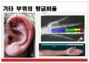 생활 속의 황금비율 10페이지