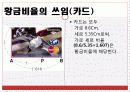 생활 속의 황금비율 12페이지