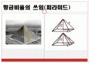생활 속의 황금비율 13페이지