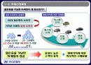 현대자동차 벨로스터 STP 마케팅전략 5페이지