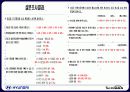 현대자동차 벨로스터 STP 마케팅전략 25페이지