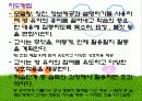 교수-학습유형 12페이지