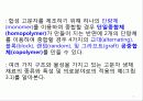 고분자 생체재료 5페이지