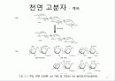 고분자 생체재료 10페이지
