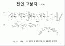 고분자 생체재료 13페이지