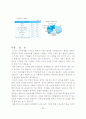 리스회계에_관한_연구 30페이지