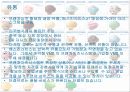 베스킨라빈스(SWOT-STP-4P) 20페이지