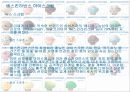 베스킨라빈스(SWOT-STP-4P) 23페이지