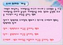 절세와 탈세 11페이지