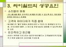 싸이월드의 성공사례 12페이지