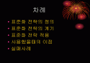 표준화전략 2페이지