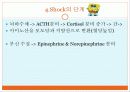 shock의 병태생리 간호 10페이지