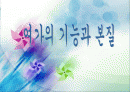 여가의 기능과 본질 1페이지