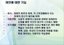 여가의 기능과 본질 2페이지