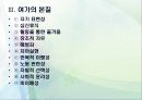 여가의 기능과 본질 11페이지