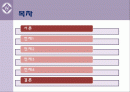 간통죄는 인권에 부정적인 영향을 미치는가? 2페이지