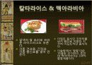 외국문화와 국제매너 이집트 14페이지