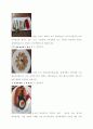 레스토랑탐방기 자료_강남 인디아게이트 4페이지