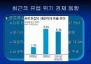 유럽發 금융위기 8페이지