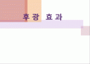 후광효과에 대하여 1페이지