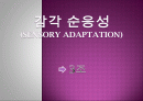 감각 순응성 (sensory adaptation) 1페이지