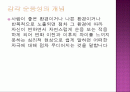 감각 순응성 (sensory adaptation) 2페이지